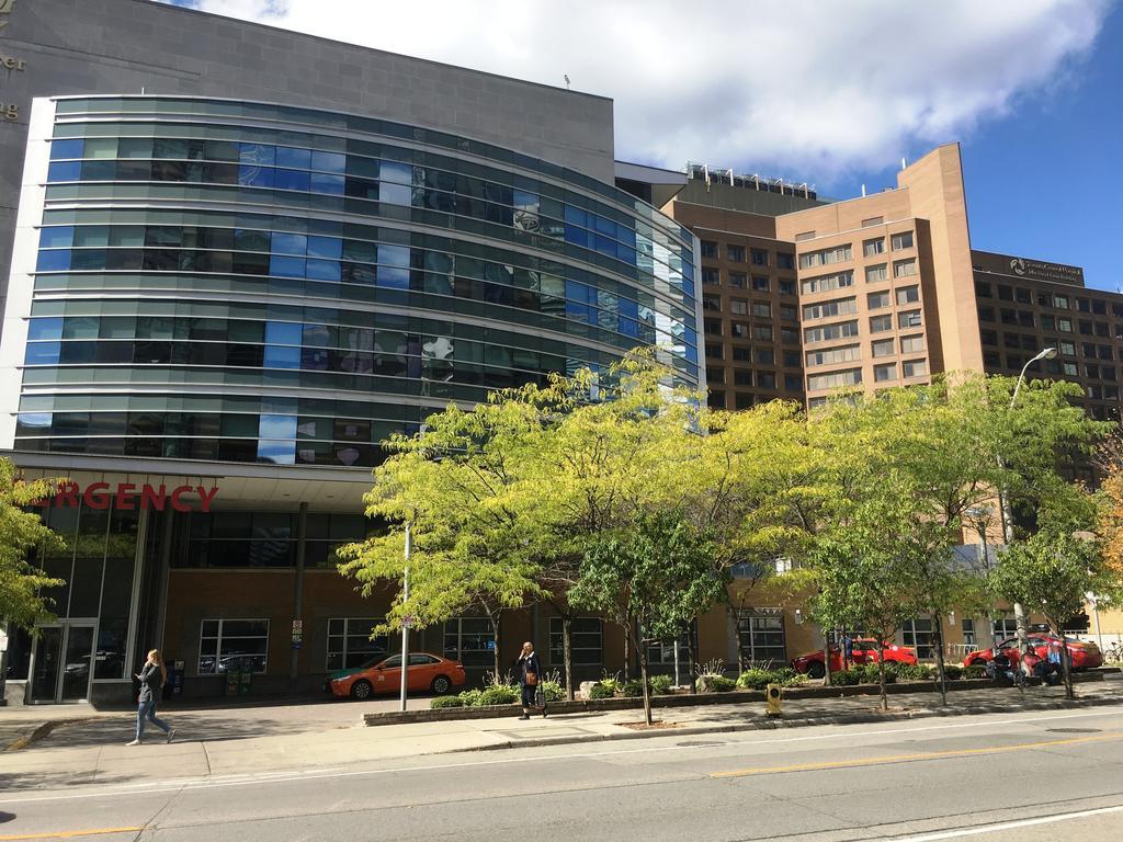 Canada Suites On Bay, Established 1998 Toronto Zewnętrze zdjęcie